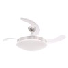 Cristal Record-Ανεμιστήρας οροφής Maria DC LED ΚΩΔ.-85-920-24-100