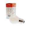Milky LED Light Bulb G45 E27 6W 660Lm 6000K