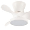 Cristal Record-Ανεμιστήρας οροφής Moll LED 20W Λευκό ΚΩΔ.-85-401-22-100