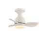 Cristal Record-Ανεμιστήρας οροφής Julie LED 20W ΚΩΔ.-85-104-66-100