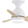 Cristal Record-Ανεμιστήρας οροφής Julie LED 20W ΚΩΔ.-85-104-66-102