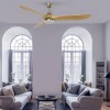 Cristal Record-Nine Big Níquel+Clear Ανεμιστήρας οροφής 18W 1600lm CCT με δυνατότητα ρύθμισης φωτεινότητας LED