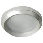 Aluminium Recessed Light