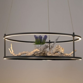 Paul Neuhaus-CONNI Κρεμαστό φωτιστικό LED, μαύρο, Touch Dimmer & διακοσμητική επιφάνεια ΚΩΔ.-SL2442-18