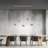 Paul Neuhaus-PURE Falling Rings Κρεμαστό Φωτιστικό LED, Bronze / Dark Chrome ΚΩΔ.-SL2504-97