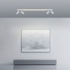 Paul Neuhaus-PURE Lines Spot Φωτιστικό Οροφής LED, White, CCT Dimmable ΚΩΔ.-SL6121-16