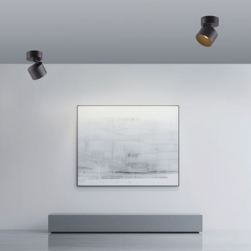 Paul Neuhaus-PURE Cup Φωτιστικό Οροφής & Τοίχου LED, Black Pearl, Dimmable ΚΩΔ.-SL6226-18