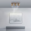Paul Neuhaus-PURE Cup Φωτιστικό Οροφής LED, Bronze, 3-Φωτο Dimmable ΚΩΔ.-SL6227-97