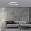 Paul Neuhaus-PURE Lines Round Φωτιστικό Οροφής LED, Snow, 70cm CCT Dimmable ΚΩΔ.-SL6306-16