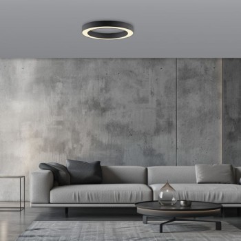 Paul Neuhaus-PURE Lines Round Φωτιστικό Οροφής LED, Graphite, 35cm Dimmable ΚΩΔ.-SL6310-13