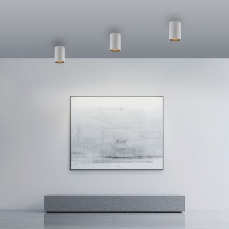 Paul Neuhaus-PURE Point Φωτιστικό Οροφής LED IP44, Dimmable Snow Λευκό ΚΩΔ.-SL6749-16