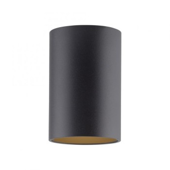Paul Neuhaus-PURE Point Φωτιστικό Οροφής LED IP44, Dimmable Black Pearl ΚΩΔ.-6749-18