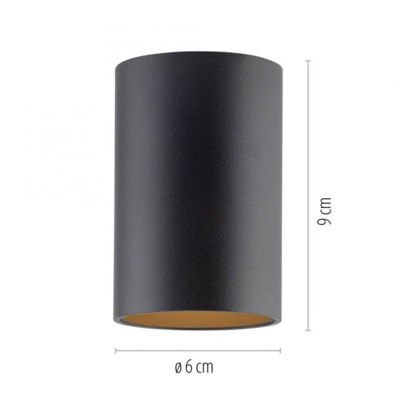 Paul Neuhaus-PURE Point Φωτιστικό Οροφής LED IP44, Dimmable Black Pearl ΚΩΔ.-6749-18