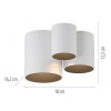 Paul Neuhaus-PURE Point Φωτιστικό Οροφής LED IP44, Dimmable Snow Λευκό ΚΩΔ.-SL6750-16