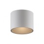 Paul Neuhaus-PURE Point Φωτιστικό Οροφής LED IP44, Dimmable Snow Λευκό ΚΩΔ.-SL6761-16