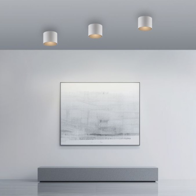 Paul Neuhaus-PURE Point Φωτιστικό Οροφής LED IP44, Dimmable Snow Λευκό ΚΩΔ.-SL6761-16
