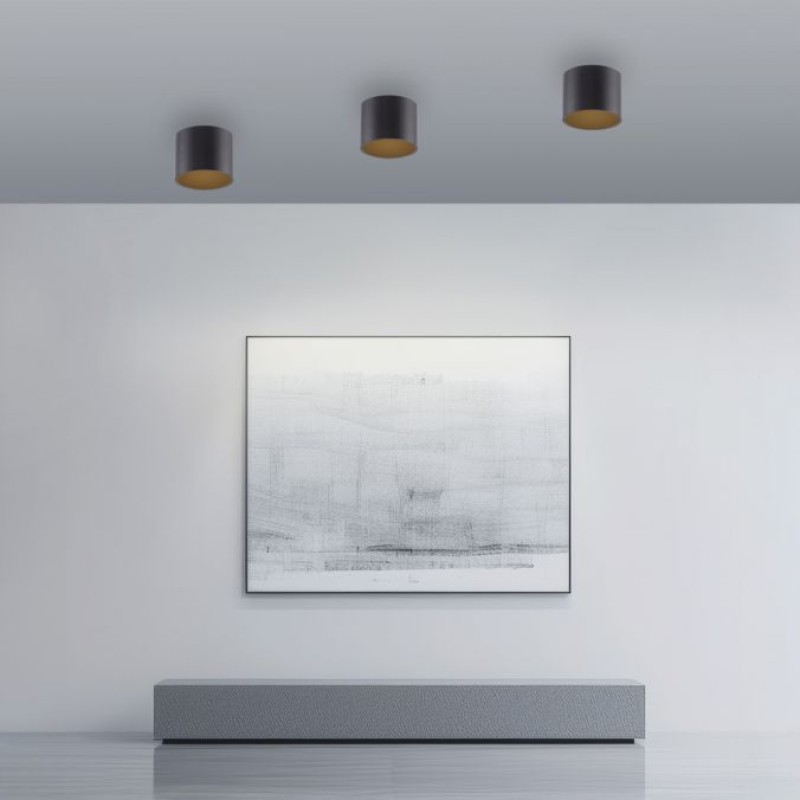 Paul Neuhaus-PURE Point Φωτιστικό Οροφής LED IP44, Dimmable Black Pearl ΚΩΔ.-SL6761-18