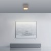 Paul Neuhaus-PURE Manhattan Φωτιστικό Οροφής LED, Dimmable Bronze ΚΩΔ.-SL6931-97