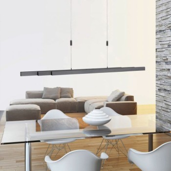 Paul Neuhaus-BACALIA Κρεμαστό φωτιστικό LED, ανθρακί, με Touch Dimmer ΚΩΔ.-SL-B2568-13