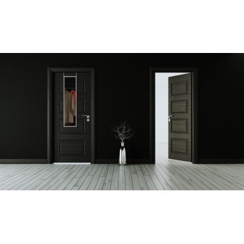 Mirrors & More - Καθρέφτης Πόρτας BEA 30x120cm Silver