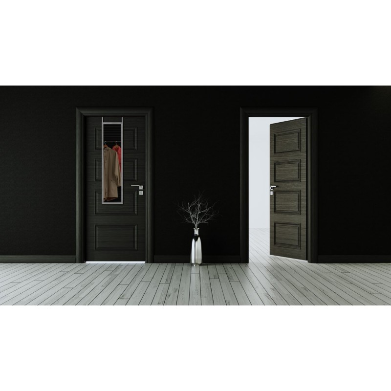 Mirrors & More - Καθρέφτης Πόρτας BEA 30x120cm Silver