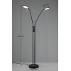 TRIO LIGHTING - MONZA LED Φωτιστικό Δαπέδου 2x12W 2800lm Μαύρο 2300K/3000K/4000K