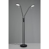 TRIO LIGHTING - MONZA LED Φωτιστικό Δαπέδου 2x12W 2800lm Μαύρο 2300K/3000K/4000K