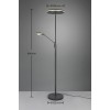 TRIO LIGHTING - Franklin Φωτιστικό δαπέδου LED Ανθρακί ΚΩΔ.-426510242