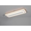 TRIO LIGHTING - RIVA LED Φωτιστικό Οροφής 20W 2300lm 2700K-6500K