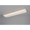 TRIO LIGHTING - RIVA LED Φωτιστικό Οροφής 35W 4100lm 2700K-6500K