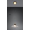 RL Lighting - ELUNA Κρεμαστό Φωτιστικό E27 Οξυντέ με Διάφανο Γυαλί ΚΩΔ.-R36521032 