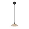RL Lighting - ELUNA Κρεμαστό Φωτιστικό E27 Μαύρο Ματ με Κεχριμπαρένιο Γυαλί ΚΩΔ.-R36521032 