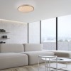 JUST LIGHT.-KYLE Φωτιστικό Οροφής LED, Στρογγυλό, Dimmer & Switchmo, Ø49cm ΚΩΔ.-SL14295-55