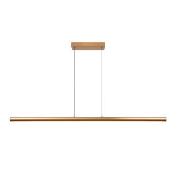 Lucide - GRIFFITH Κρεμαστό Φωτιστικό LED, Οξυντέ, 2700 K