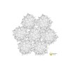SLAMP-Veli 7-Foliage Κρεμαστό φωτιστικό (Ε27) ΚΩΔ.-VELSOVSFLG04T00000EU-SL0421