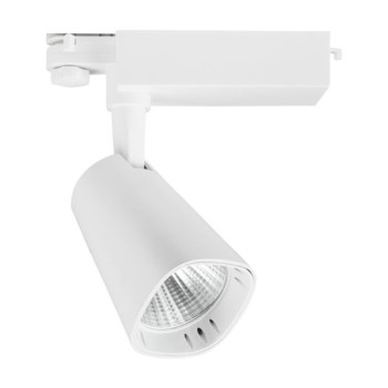 Spotlight - SPOT ΡΑΓΑΣ LED ΡΥΘΜΙΖΟΜΕΝΟ 30W 3000K