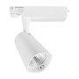 Spotlight - SPOT ΡΑΓΑΣ LED ΡΥΘΜΙΖΟΜΕΝΟ 30W 3000K