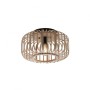 JUST LIGHT.-RACOON Φωτιστικό οροφής Ε27 ΚΩΔ.-SL11412-79