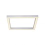 Paul Neuhaus-PURE LINES φωτιστικό οροφής LED ΚΩΔ.-SL6022-95