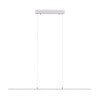 Paul Neuhaus-PURE LITE Κρεμαστό φως LED ατσάλι ΚΩΔ.-SL8375-55
