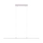 Paul Neuhaus-PURE LITE Κρεμαστό φως LED ατσάλι ΚΩΔ.-SL8375-55