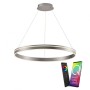 Paul Neuhaus- Q-VITO LED κρεμαστό φως ασημί ΚΩΔ.-SL8412-55