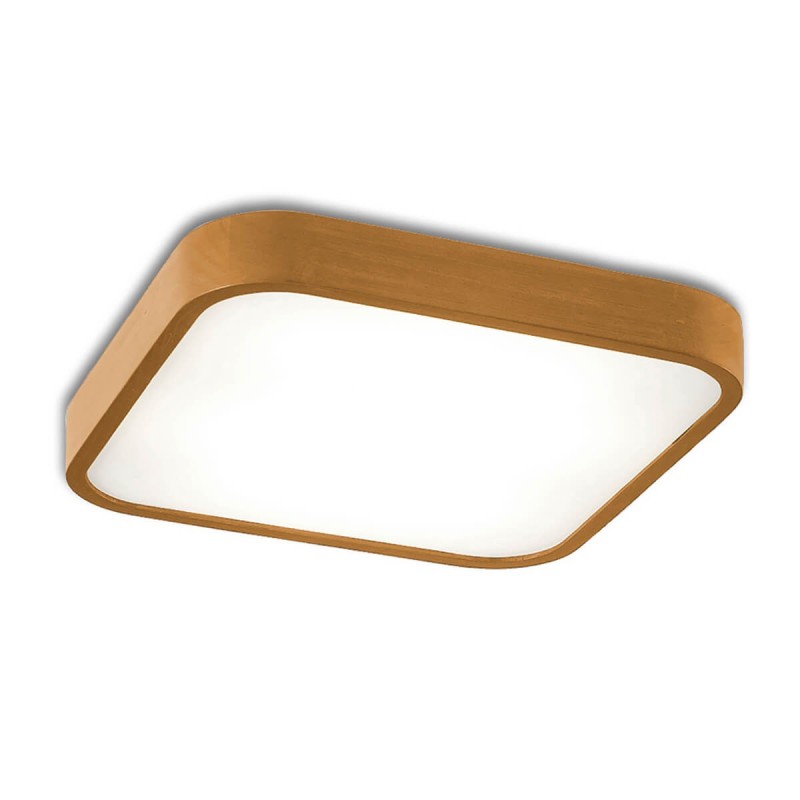 OLE Lighting-NATURE Φωτιστικό οροφής Ε27 ΚΩΔ.-SL20017/50