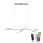 Paul Neuhaus- Q-SWING Κρεμαστό φωτιστικό LED ΚΩΔ.-SL2385-55