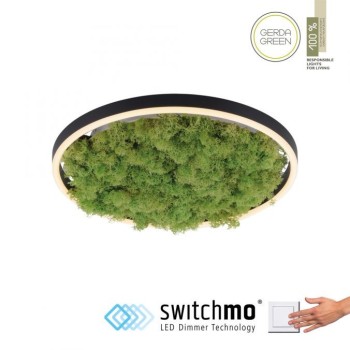 JUST LIGHT.-GREEN RITUS Φωτιστικό οροφής LED ΚΩΔ.-SL15391-66