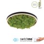 JUST LIGHT.-GREEN RITUS Φωτιστικό οροφής LED ΚΩΔ.-SL15391-66