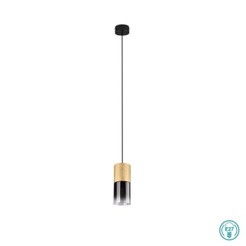 TRIO LIGHTING - Robin Κρεμαστό φωτιστικό 1xE27 Οξυντέ-Φυμέ ΚΩΔ.-310600154