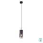 TRIO LIGHTING - Robin Κρεμαστό φωτιστικό 1xE27 Μαύρο-Φιμέ ΚΩΔ.-310600132