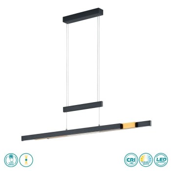 TRIO LIGHTING - Trajan Κρεμαστό φωτιστικό LED Μαύρο Ματ-Οξυντέ ΚΩΔ.-375310502