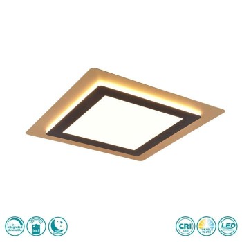 TRIO LIGHTING - Morgan Φωτιστικό οροφής 1x 50W LED Μαύρο Ματ με Χρυσό ΚΩΔ.-641510280